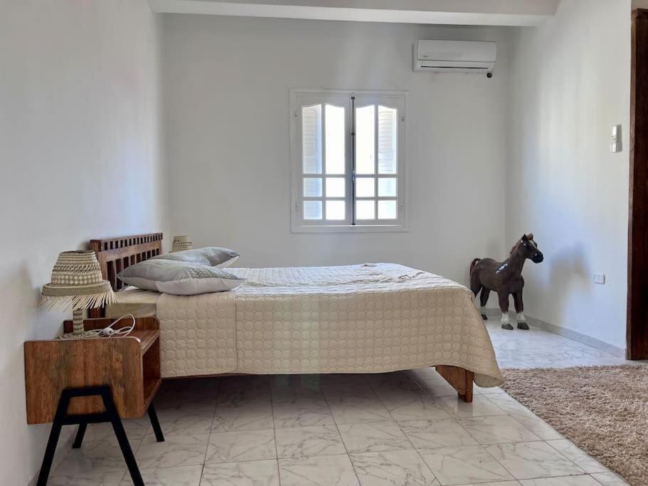 Dar Zakaria Toursitic Area Apartment Tozeur Exterior photo